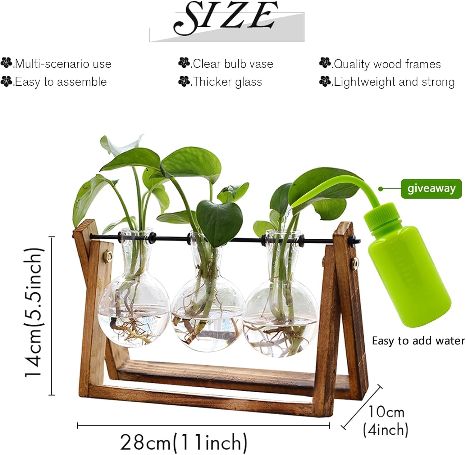 Plant Terrarium with Wooden Stand 1