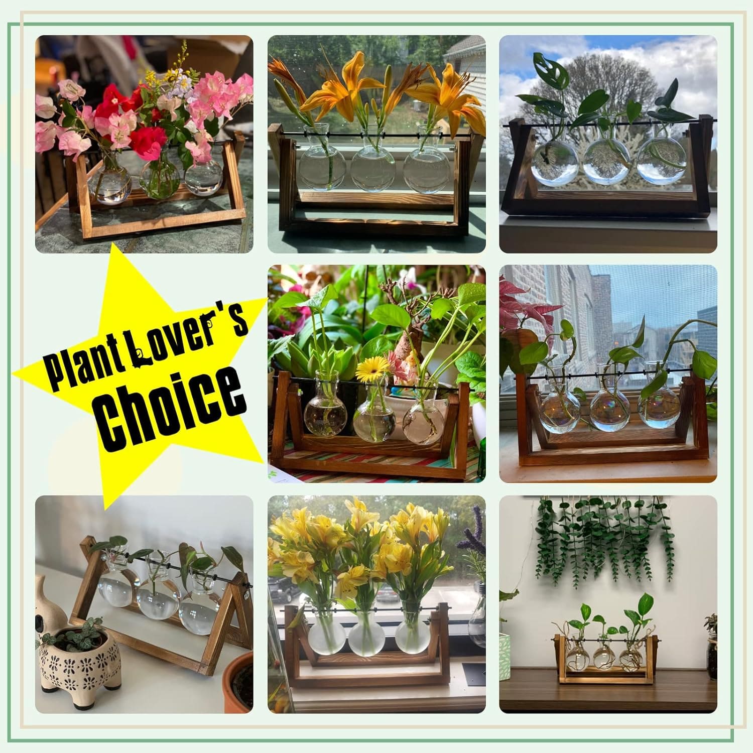 Plant Terrarium with Wooden Stand 4