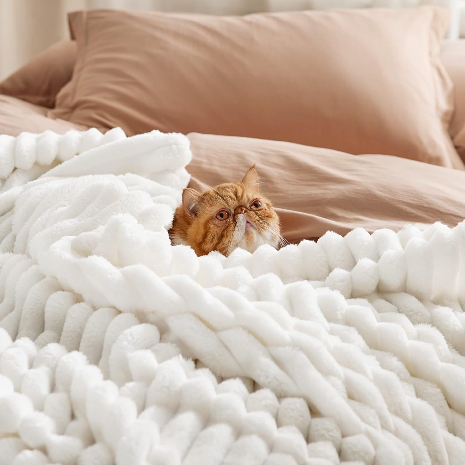 Throw Blanket for Couch 4